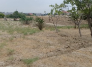 Satılır 10 sot torpaq Sumqayıt