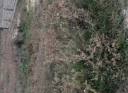 Satılır 5 sot torpaq Xaçmaz