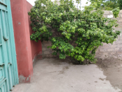 Satılır 3 otaqlı 70 m2 həyət evi Sabunçu