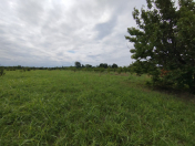 Satılır 250 sot torpaq Xaçmaz