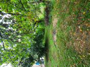 Satılır 4.5 sot torpaq Qəbələ