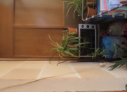 Satılır 3 otaqlı 62 m2 yeni tikili Xırdalan