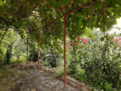 Satılır 20 sot torpaq Xaçmaz