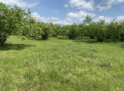 Satılır 45 sot torpaq Qəbələ