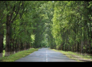 Satılır 100 sot torpaq Zaqatala