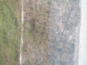 Satılır 40 sot torpaq Şabran