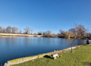 Satılır 300 sot torpaq Xudat