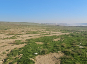 Satılır 233 sot torpaq Novxanı