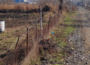 Satılır 200 sot torpaq Xaçmaz