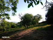 Satılır 2 otaqlı 100 m2 həyət evi İsmayıllı
