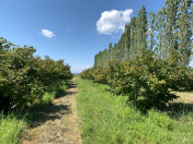 Satılır 120 sot torpaq Xaçmaz