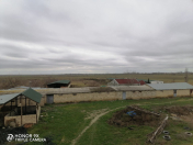 Satılır 4300 sot torpaq Şabran