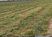 Satılır 27 sot torpaq Tovuz