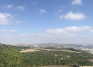 Satılır 12 sot torpaq Şamaxı