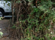 Satılır 24 sot torpaq Bərdə