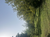 Satılır 10 sot torpaq Qəbələ