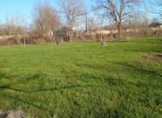 Satılır 20 sot torpaq Qəbələ