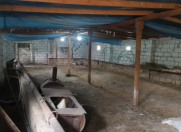 Satılır 3 otaqlı 19 m2 köhnə tikili Siyəzən