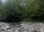 Satılır 73 sot torpaq Qəbələ