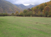 Satılır 200 sot torpaq Oğuz