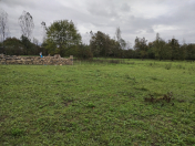 Satılır 12 sot torpaq Qəbələ