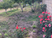 Satılır 4.5 sot torpaq Sumqayıt