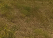 Satılır 12 sot torpaq Nardaran