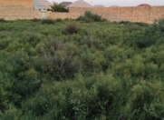 Satılır 8 sot torpaq Məhəmmədli