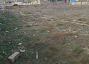Satılır 12 sot torpaq Novxanı