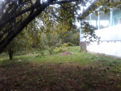 Satılır 2 otaqlı 20 m2 həyət evi Qəbələ