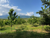 Satılır 1000 sot torpaq İsmayıllı