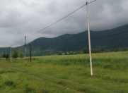 Satılır 245 sot torpaq Qəbələ