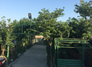 Satılır 3 otaqlı 100 m2 bağ evi Sumqayıt