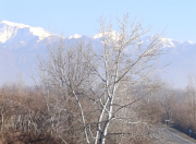 Satılır 20 sot torpaq Oğuz