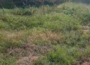 Satılır 4 sot torpaq Sumqayıt