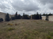 Satılır 11.5 sot torpaq Şüvəlan