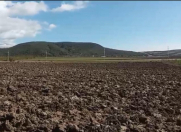 Satılır 18 sot torpaq İsmayıllı