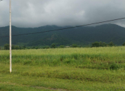 Satılır 245 sot torpaq Qəbələ