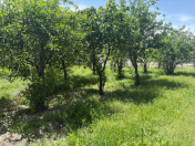 Satılır 8.72 sot torpaq Naxçıvan