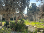 Satılır 4 otaqlı 80 m2 həyət evi Şüvəlan