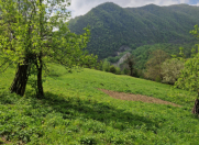 Satılır 45 sot torpaq Quba