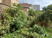 Satılır 10 sot torpaq Qara Qarayev m.