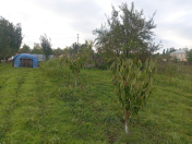 Satılır 6 sot torpaq Quba