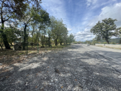 Satılır 77 sot torpaq Qəbələ