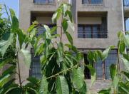 Satılır 6 otaqlı 300 m2 villa Quba