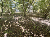 Satılır 20 sot torpaq Qəbələ