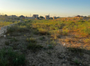 Satılır 5 sot torpaq Xaşaxuna