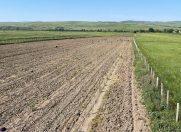 Satılır 1000 sot torpaq Şamaxı