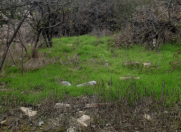 Satılır 8 sot torpaq Park Inn