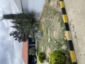 Satılır 4 otaqlı 144 m2 həyət evi Maştağa